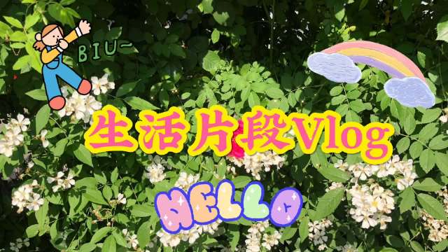 武汉vlog